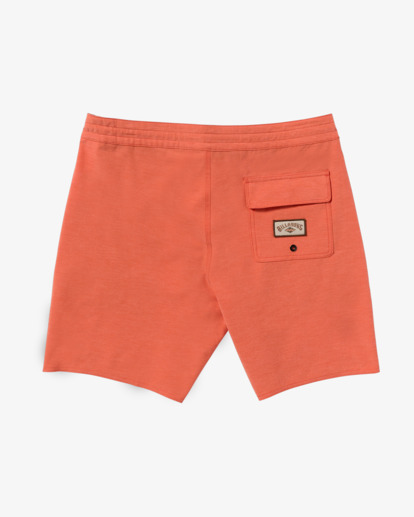 Every Other Day 17.5" - Lo Tides Boardshorts for Men  24A081513