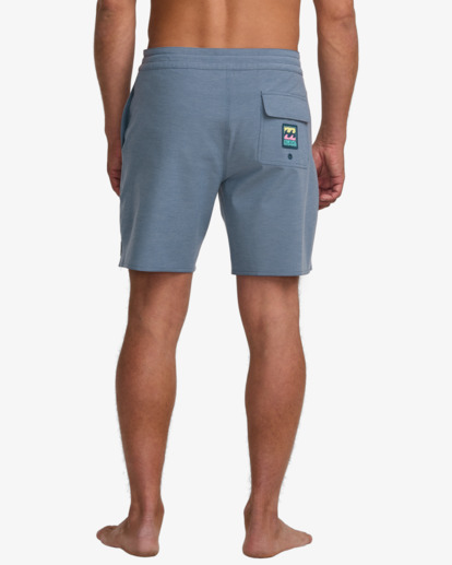 Every Other Day 17.5" - Lo Tides Boardshorts for Men  24A081513