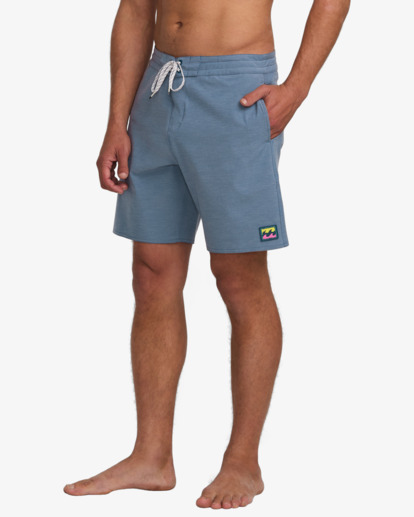 Every Other Day 17.5" - Lo Tides Boardshorts for Men  24A081513