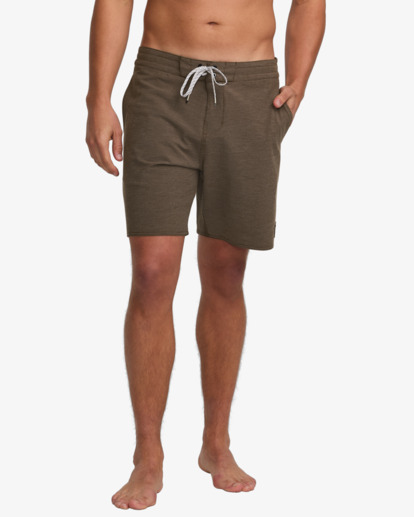 Every Other Day 17.5" - Lo Tides Boardshorts for Men  24A081513