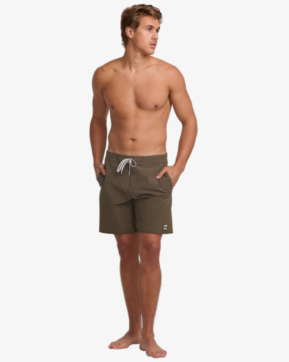 Every Other Day 17.5" - Lo Tides Boardshorts for Men  24A081513