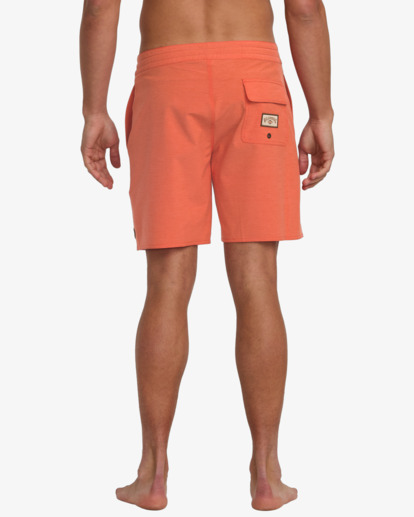 Every Other Day 17.5" - Lo Tides Boardshorts for Men  24A081513