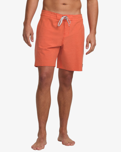 Every Other Day 17.5" - Lo Tides Boardshorts for Men  24A081513