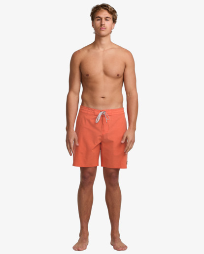 Every Other Day 17.5" - Lo Tides Boardshorts for Men  24A081513