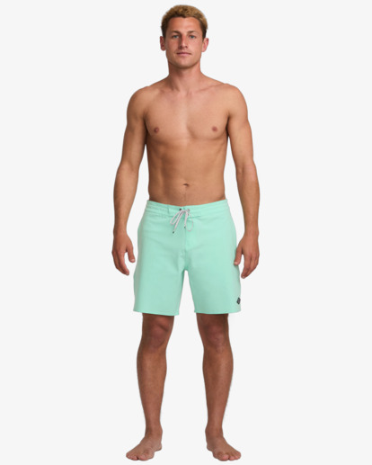 Every Other Day 17.5" - Lo Tides Boardshorts for Men  24A081513