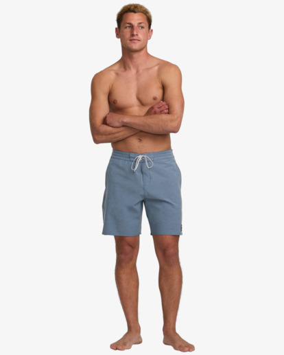 Every Other Day 17.5" - Lo Tides Boardshorts for Men  24A081513