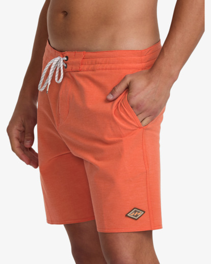 Every Other Day 17.5" - Lo Tides Boardshorts for Men  24A081513