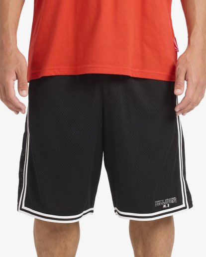 A.I. Mesh  24A101604