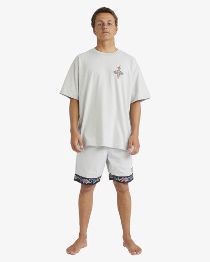 billabong, Occy Og - Kurzärmliges T-Shirt mit Screen-Print für Männer, SILVER (sil) Occy Og - Short Sleeve T-Shirt for Men  24A352531