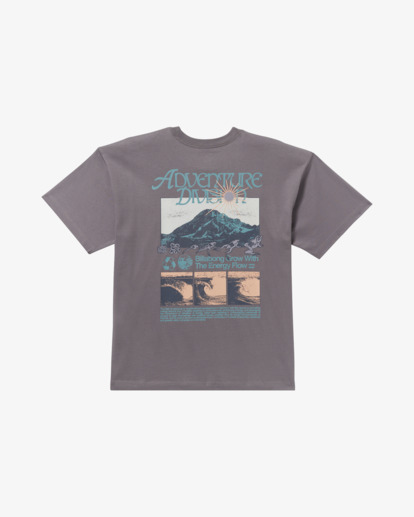 billabong, Grow Og A/Div - T-Shirt à manches courtes pour Homme, GREY VIOLET (gvo) Grow Og A/Div - Short Sleeve T-Shirt for Men  24A503507