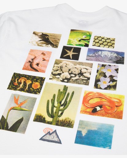 Moments A/DIV Og  24A521611