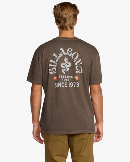 billabong, Coiled Premium Wave Washed - Camiseta de manga corta para hombre, DARK BROWN (dbr) Coiled Premium Wave Washed - Short Sleeve T-Shirt for Men  24A523501