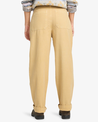 Stay Grounded - Fixed Waist Trousers for Women  ABJNP00452