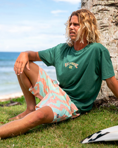 Sundays Layback - Board Shorts for Men  ABYJV00103