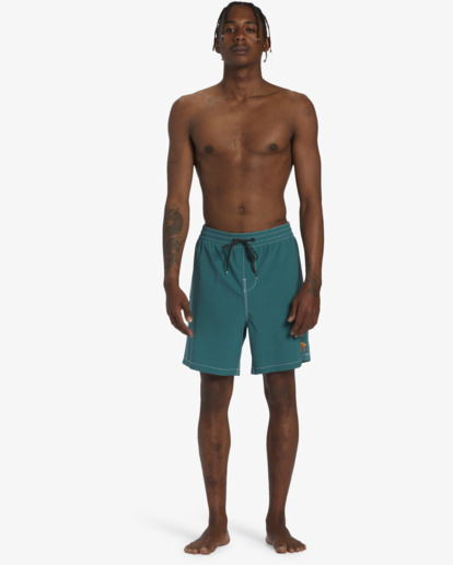 Riot Layback 18.5" - Swim Shorts for Men  ABYJV00121