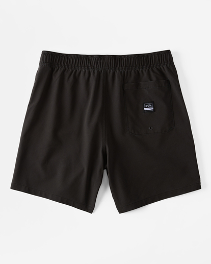 DJ Javier Dog Days Layback 17" - Swim Shorts for Men  ABYJV00125