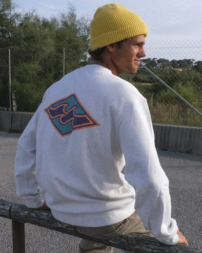 Mens surf sweatshirts best sale