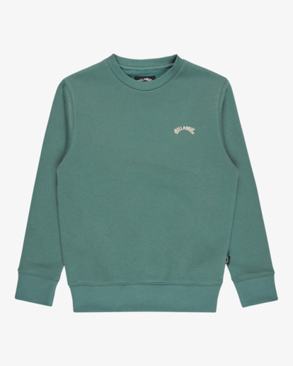 billabong, Arch Cr - Crew Sweatshirt for Boys 8-16, SAGEBRUSH (bmr0) Arch Cr - Crew Sweatshirt for Boys 8-16  EBBFT00122