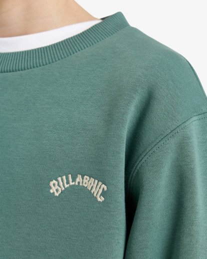 billabong, Arch Cr - Crew Sweatshirt for Boys 8-16, SAGEBRUSH (bmr0) Arch Cr - Crew Sweatshirt for Boys 8-16  EBBFT00122