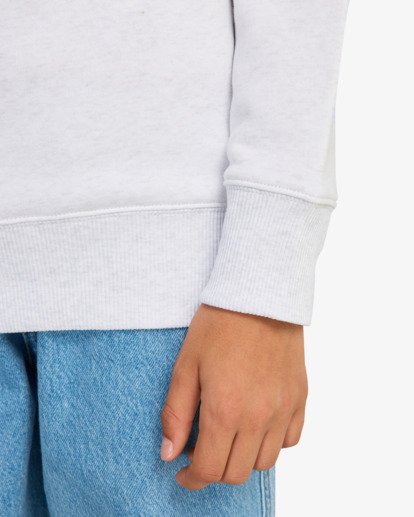 billabong, Arch Cr - Crew Sweatshirt for Boys 8-16, OATMEAL HEATHER (oah) Arch Cr - Crew Sweatshirt for Boys 8-16  EBBFT00122