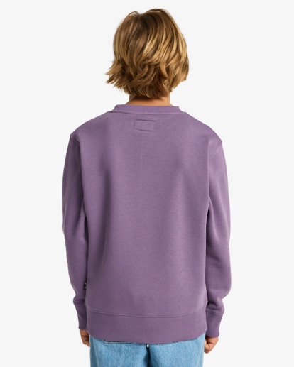 Arch Cr - Crew Sweatshirt for Boys 8-16  EBBFT00122