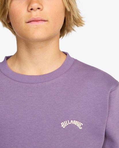Arch Cr - Crew Sweatshirt for Boys 8-16  EBBFT00122