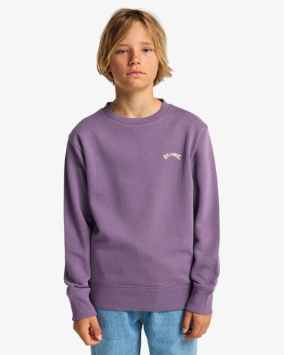Arch Cr - Crew Sweatshirt for Boys 8-16  EBBFT00122