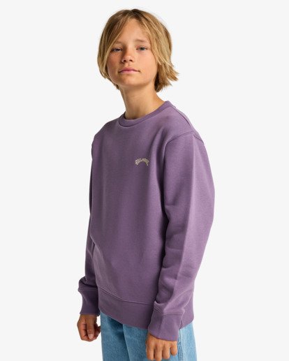 Arch Cr - Crew Sweatshirt for Boys 8-16  EBBFT00122