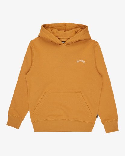 Arch Po - Pullover Sweatshirt for Boys 8-16  EBBFT00123