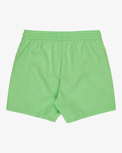 All Day Layback 14" - Swim Shorts for Boys 8-16  EBBJV00115