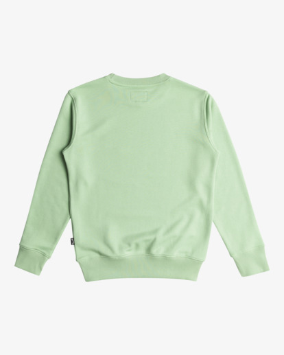 Foundation - Sweatshirt for Boys 8-16  EBBSF00118