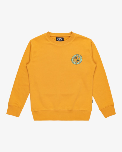 Foundation - Pullover Sweatshirt for Boys 8 - 16  EBBSF00126