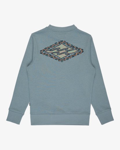 Foundation - Sweatshirt for Boys 8-16  EBBSF00136