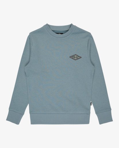 Foundation - Sweatshirt for Boys 8-16  EBBSF00136