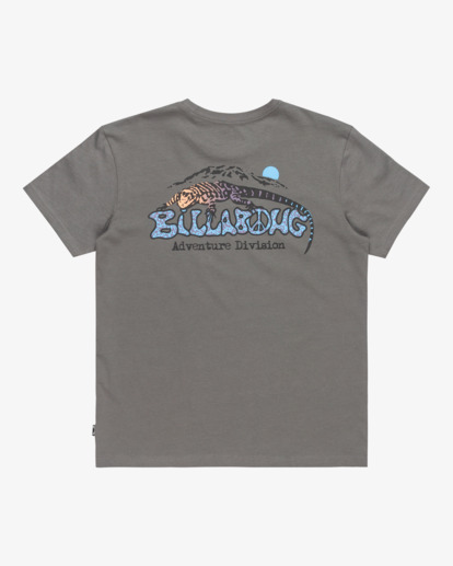 Lizard Mountain - Short Sleeves T-Shirt for Boys 8 - 16  EBBZT00163