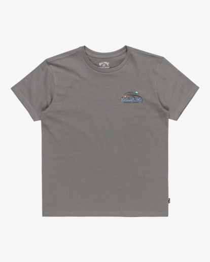 Lizard Mountain - Short Sleeves T-Shirt for Boys 8 - 16  EBBZT00163