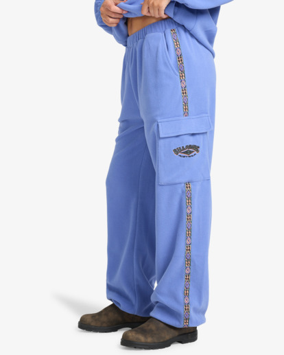 billabong, Winter Camp - Cargo trainingsbroek voor Dames, IRIS (irs) Winter Camp - Cargo Tracksuit Bottoms for Women  EBJFB03001