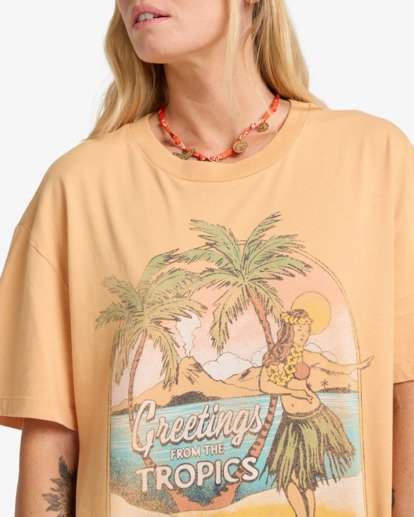 billabong, Vibe Time - Short Sleeve T-Shirt for Women, CLAY (cly) Vibe Time - Short Sleeve T-Shirt for Women  EBJZT00466