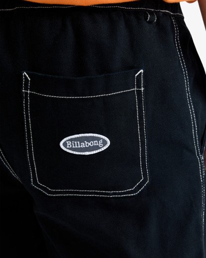 Larry Canvas  EBYDP03004