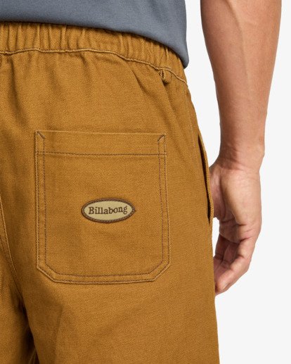 Larry Canvas  EBYDP03004