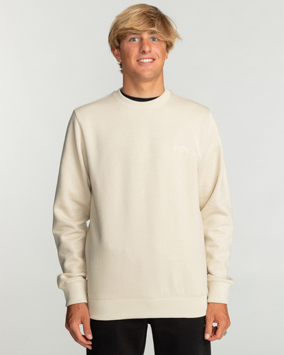 Arch - Sweatshirt for Men  EBYFT00113