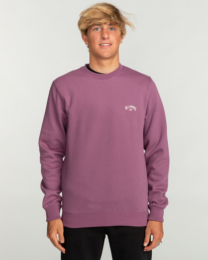 Arch - Sweatshirt for Men  EBYFT00113