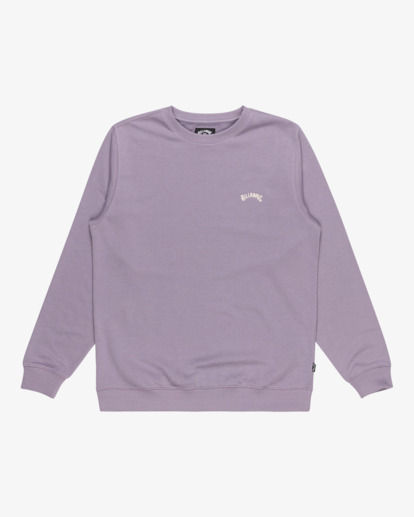 Arch - Pullover Sweatshirt for Men  EBYFT00131