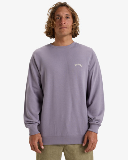 Arch - Pullover Sweatshirt for Men  EBYFT00131