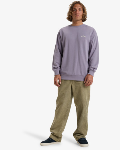 Arch - Pullover Sweatshirt for Men  EBYFT00131