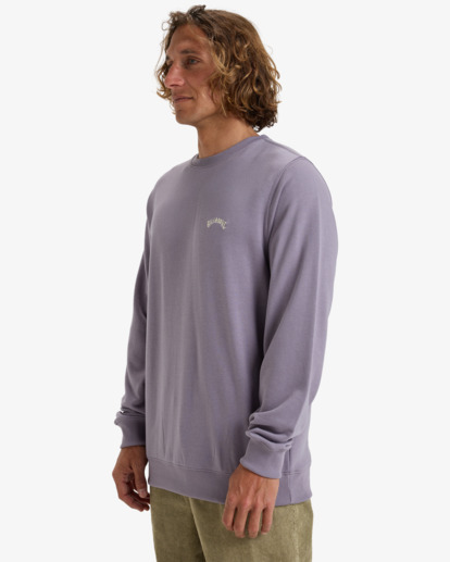 Arch - Pullover Sweatshirt for Men  EBYFT00131