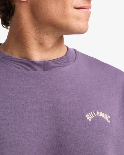 Arch Cr - Crew Sweatshirt for Men  EBYFT00146