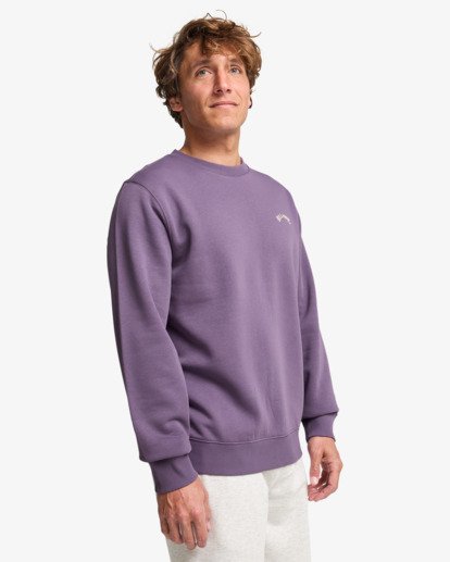 Arch Cr - Crew Sweatshirt for Men  EBYFT00146