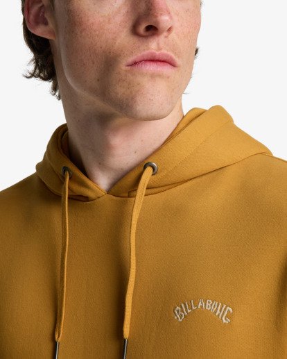 Arch Po - Pullover Sweatshirt for Men  EBYFT00147