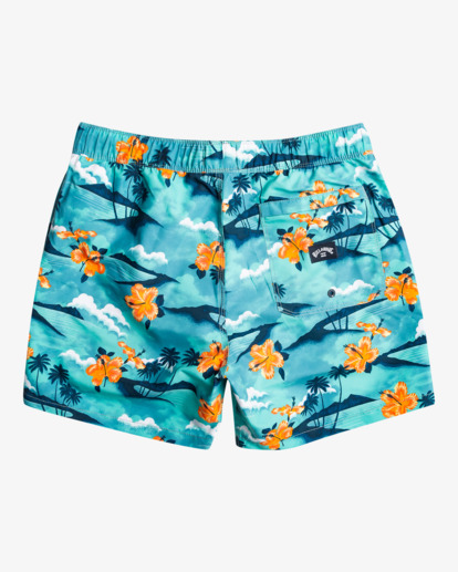 Island 16" - Layback Swim Shorts for Men  EBYJV00119